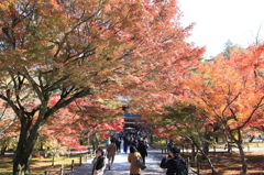 南禅寺 法堂1