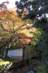 南禅寺 法堂9
