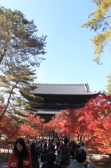 南禅寺 法堂2