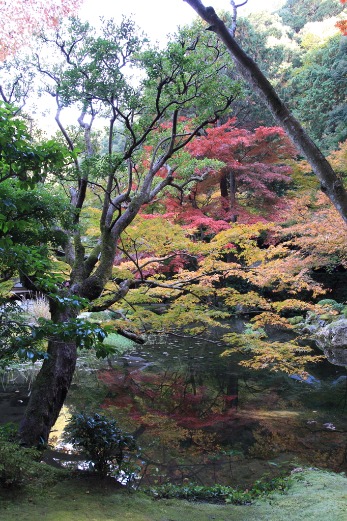 南禅寺 南禅院11