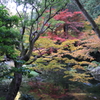 南禅寺 南禅院11