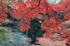 南禅寺 南禅院3