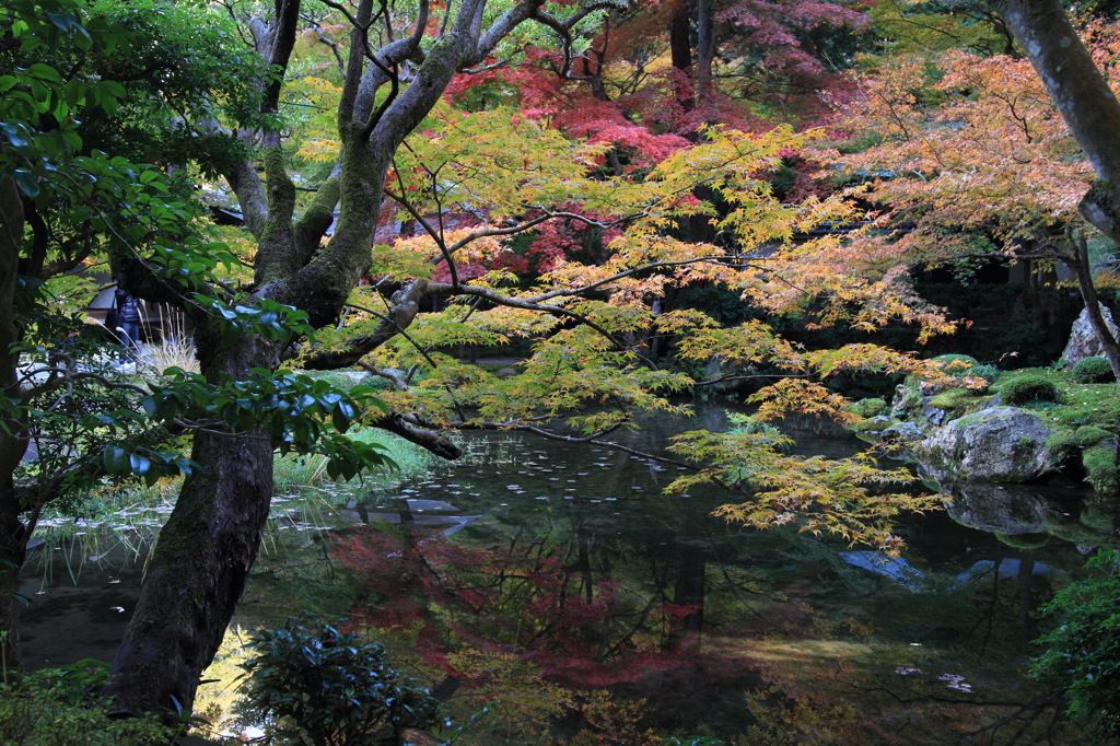 南禅寺 南禅院10