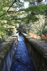 南禅寺 水路閣5