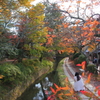 哲学の道2