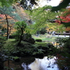 南禅寺 南禅院7