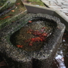 法然院5