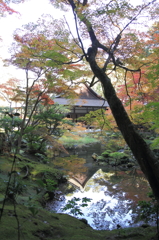 南禅寺 南禅院9