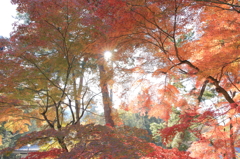 南禅寺 法堂3