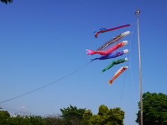 空を飛ぶ