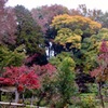 晩秋の色2　梁田寺（町田市）