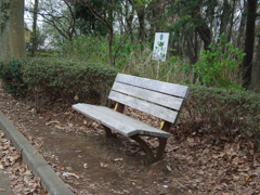 帰り道の風景5