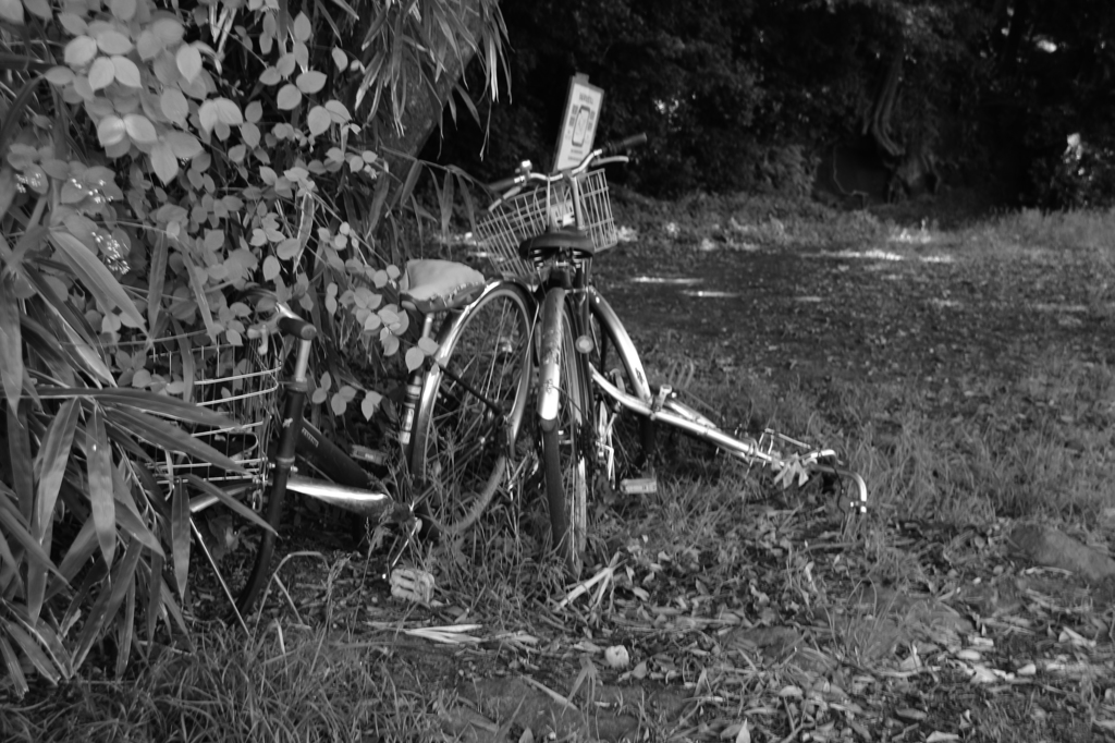 自転車墓場