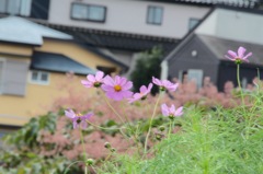 ちょっと早すぎたね