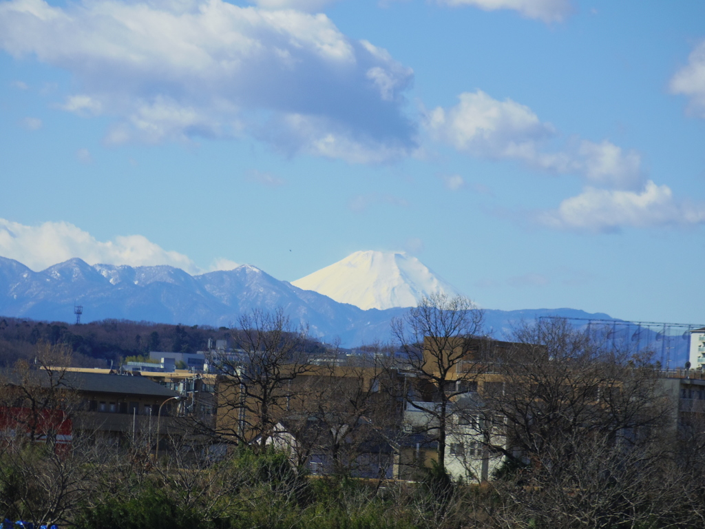 ひさしぶりー
