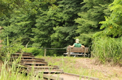 お父さんは光合成してるの？