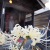 平和が続きますように