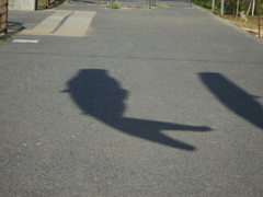 ここにも鯉が・・・