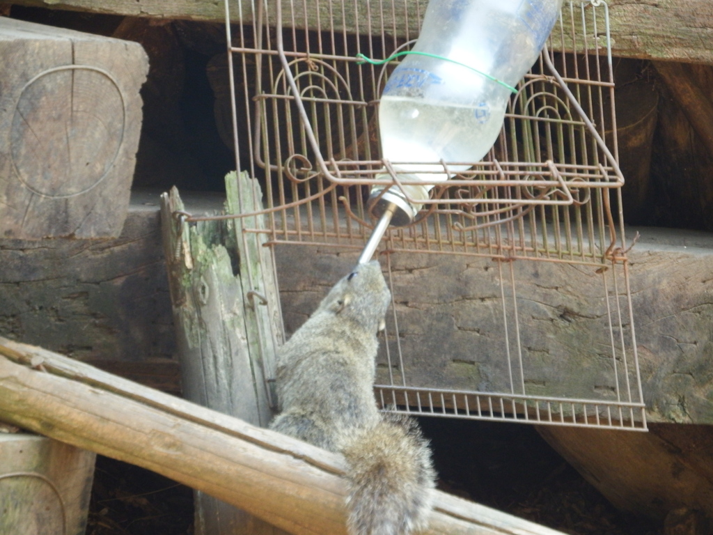 喉が渇くんだよな-