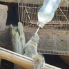 喉が渇くんだよな-