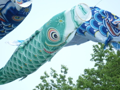 何だか一生懸命に見える