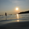 海