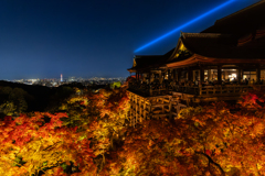 古都を照らす観音慈悲光