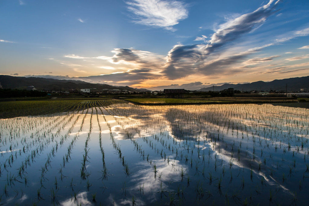 初夏の風景 By エミリー Id 写真共有サイト Photohito