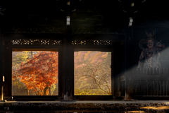 根来大門紅葉光