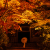 霊宝の夜