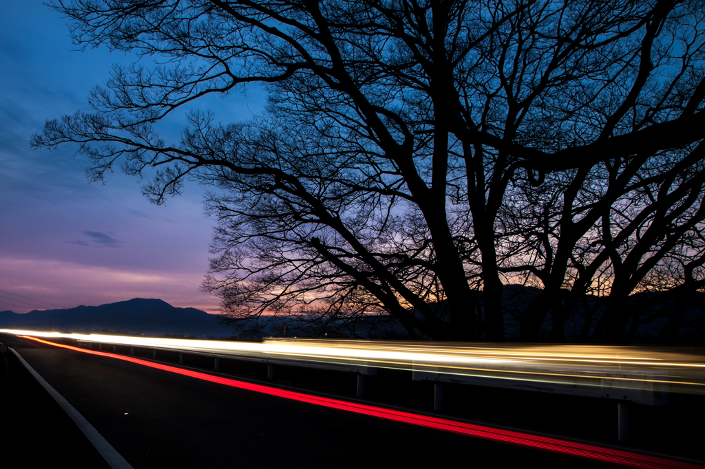 朝焼けの堤防道路