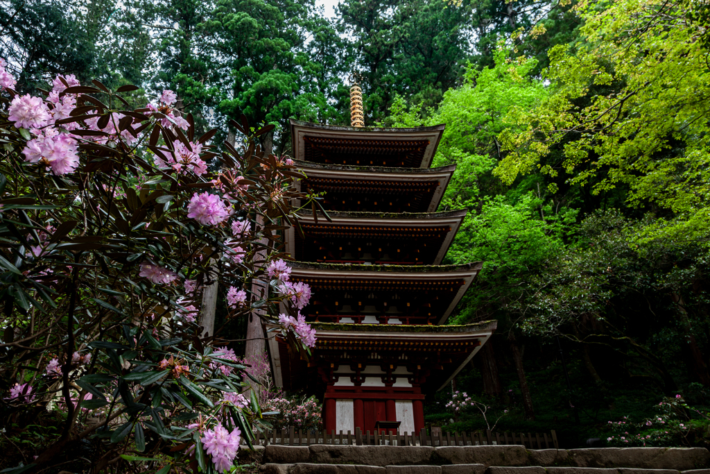 女人高野 室生寺