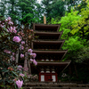 女人高野 室生寺