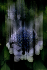 雨花
