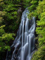 緑流