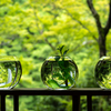 山の音