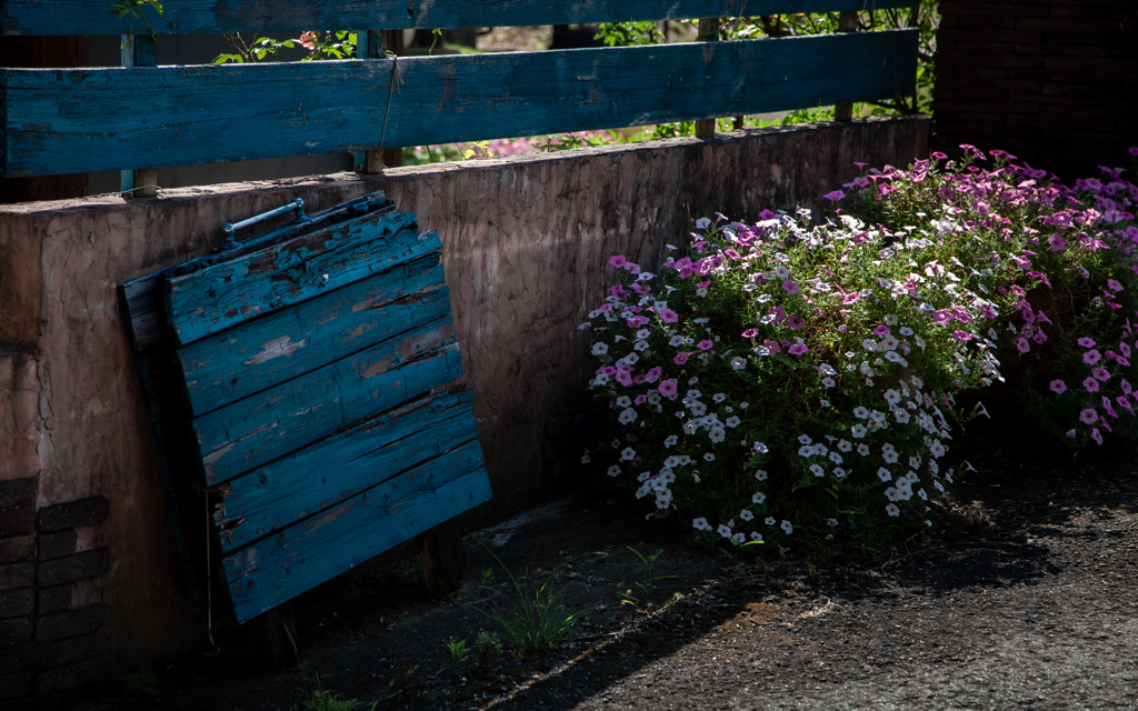 花と板塀