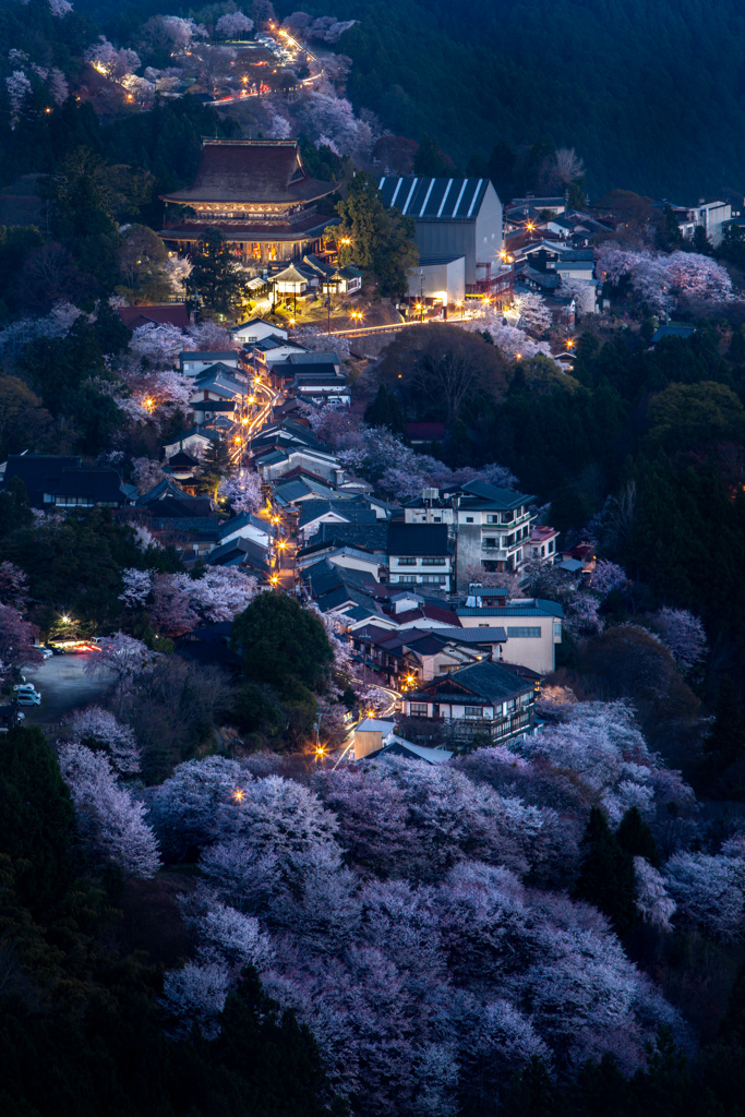 蔵王堂 夜明け前