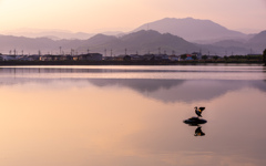平池の朝