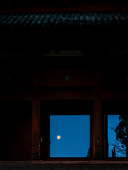 春月の入り