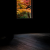 紅葉堂