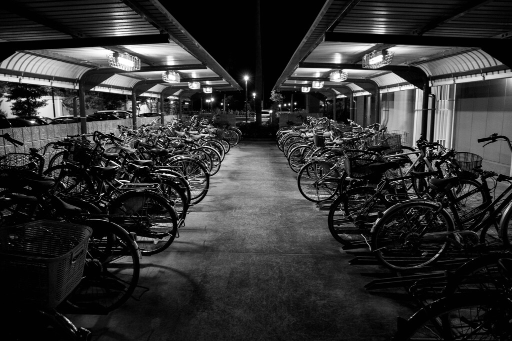 自転車置き場の夜は更けて