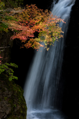 高野大滝