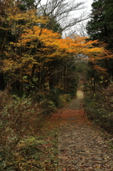 Hakone sansakuro