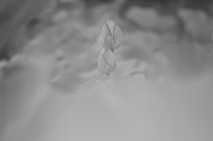 水墨画！？