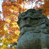大山紅葉２
