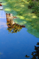 水風景