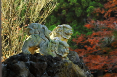 大山金獅子