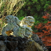 大山金獅子