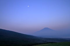 Blue fuji